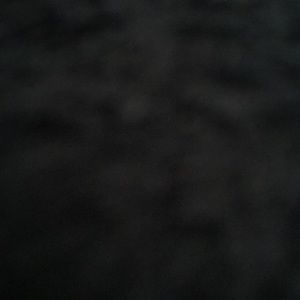 Meet your Posher, Terry